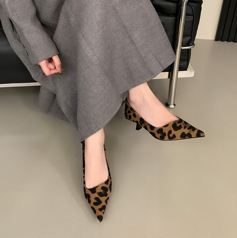 2025 New Autumn Winter Pointed Toe Shallow Mouth High Heel Leopard Print Fashion Versatile Temperament Commuting High Heel Shoes - Image 3